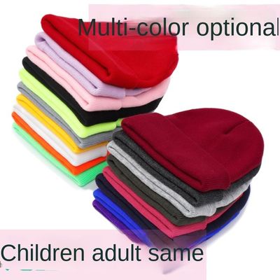 Custom logo borduurwerk Unisex acryl gebreide geboeide pet Warm Winter gebreide hoeden Beanie voor SKI