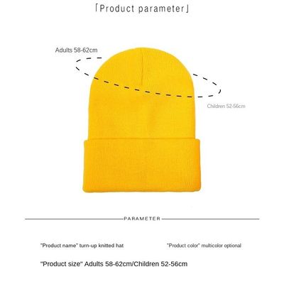 Custom logo borduurwerk Unisex acryl gebreide geboeide pet Warm Winter gebreide hoeden Beanie voor SKI