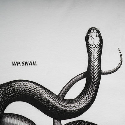 Geslachtsneutraal 3D gedrukt slangloos T-shirt voor straatmode in verschillende maten